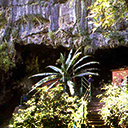 Dandeli Kavla Caves