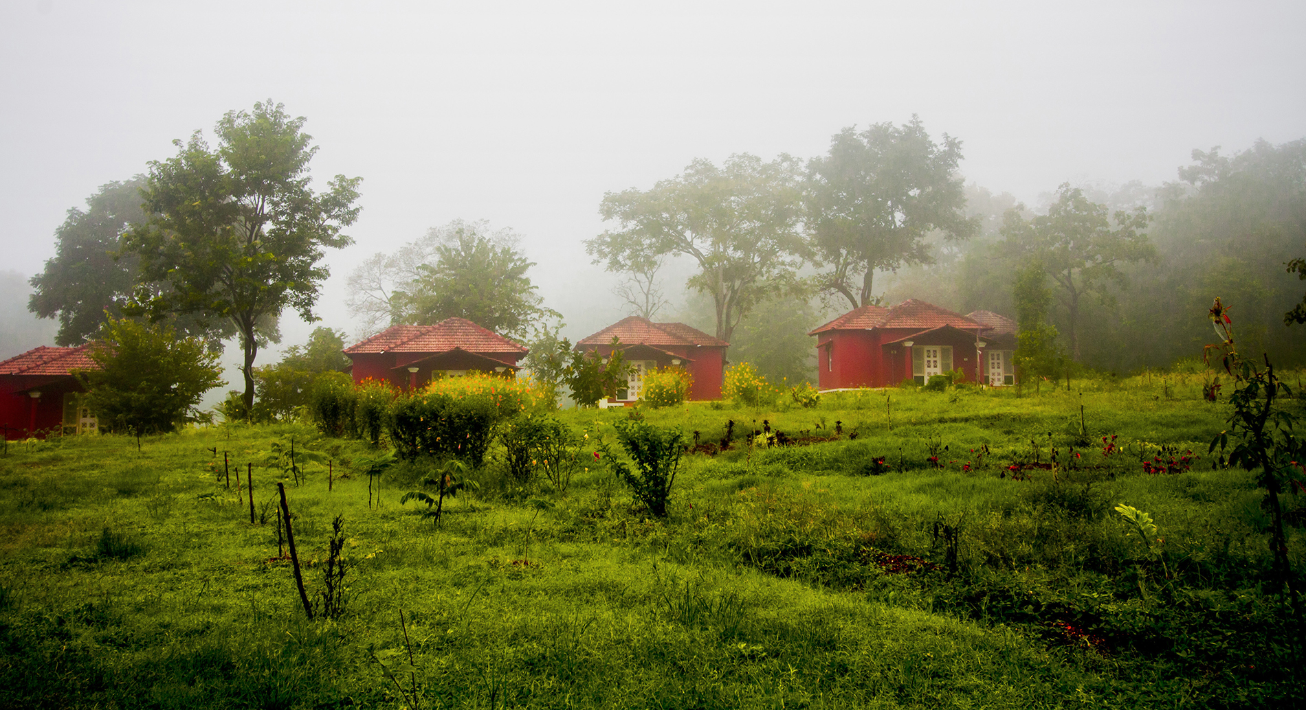 Dandeli Chalet property on a misty morning