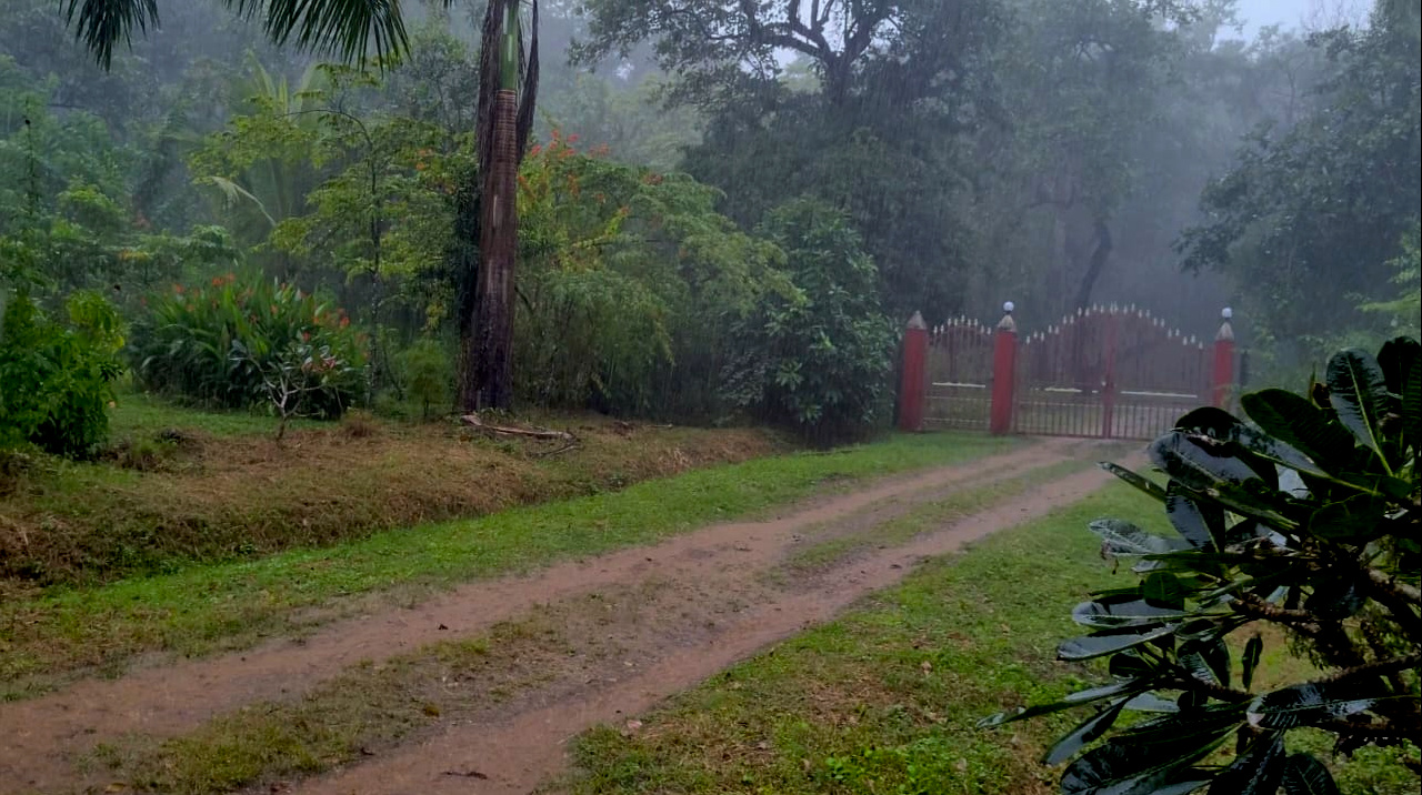 Why Monsoon is the Best-Kept Secret of Dandeli